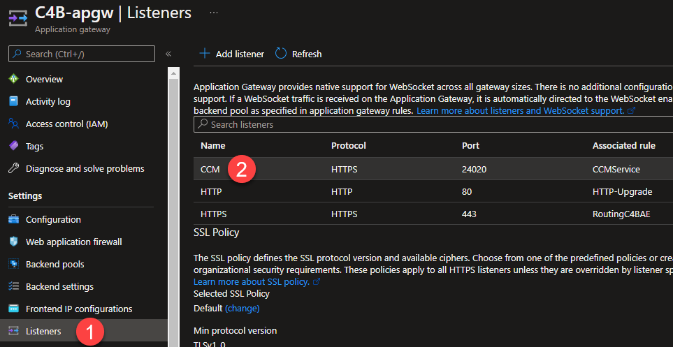 Application Gateway listeners settings